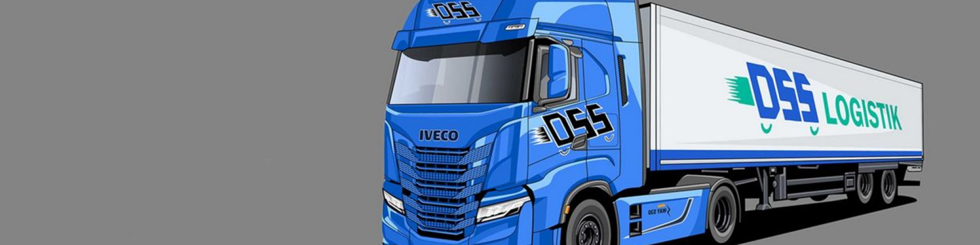 DSS Logistik GmbH