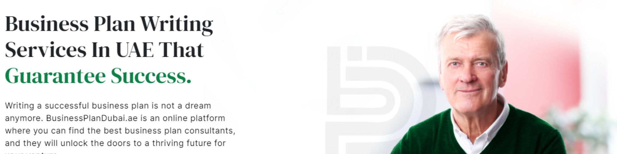 Business Planner Dubai Services