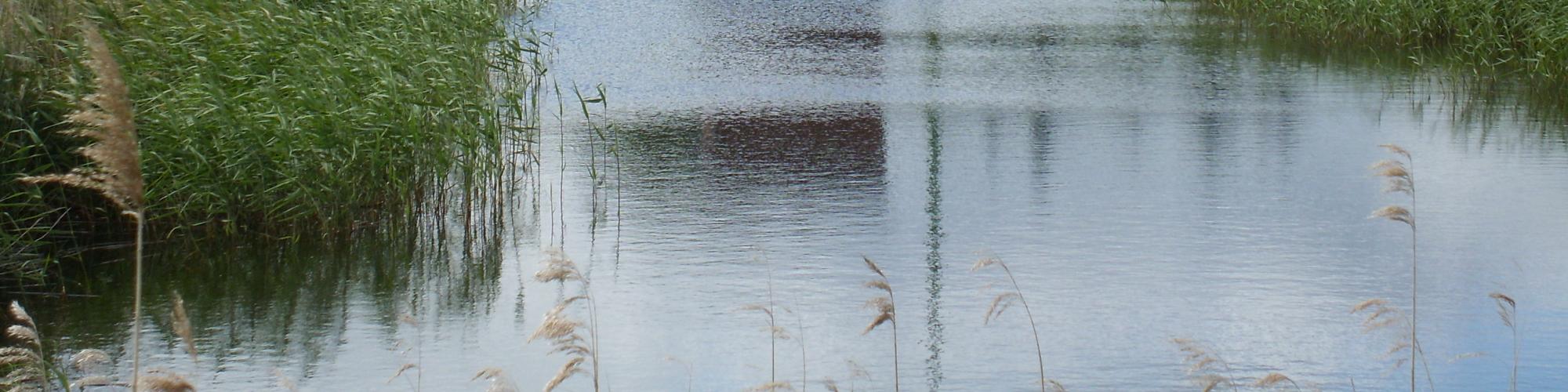 Wasser- und Bodenverband Ryck-Ziese