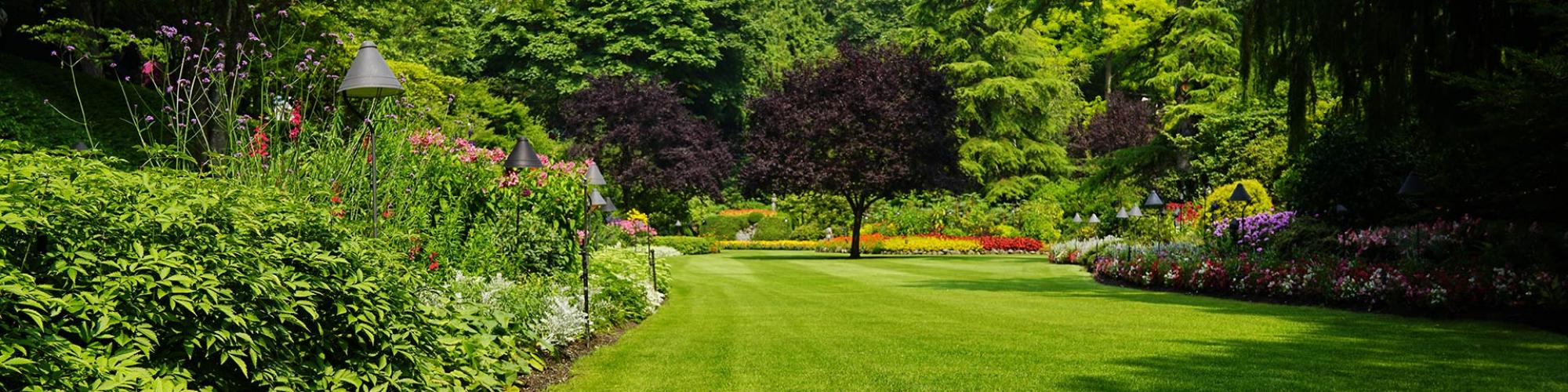 HGS Ruback Haus- und Gartenservice