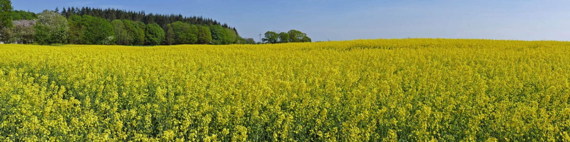 Amtsverwaltung Dänischer Wohld