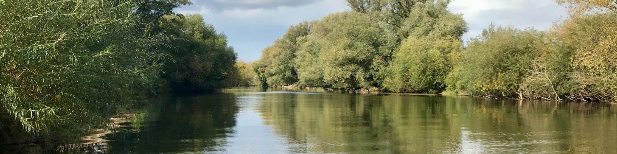 Gewässer- und Landschaftspflegeverband 