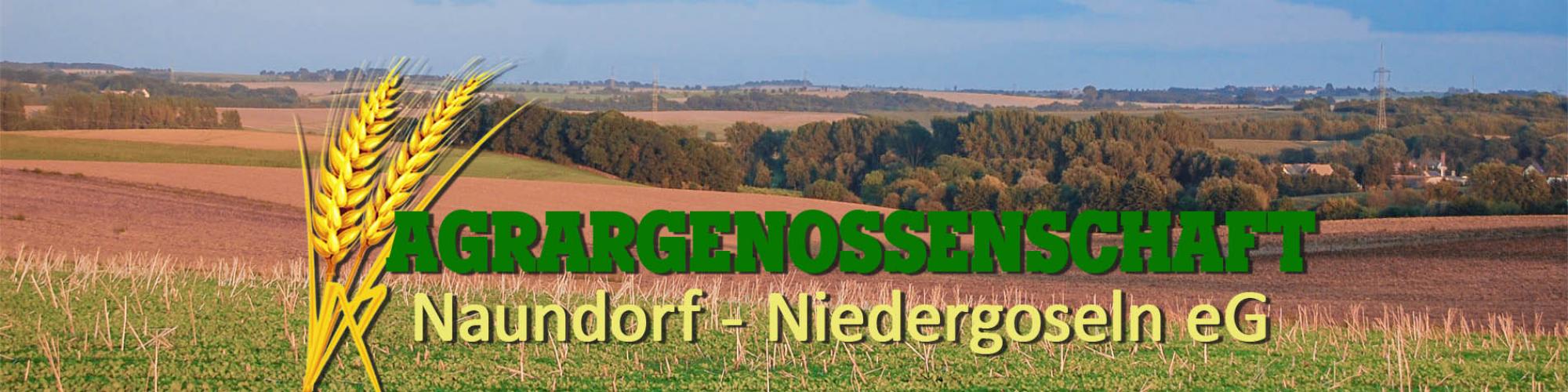 Agrargenossenschaft Naundorf-Niedergoseln eG