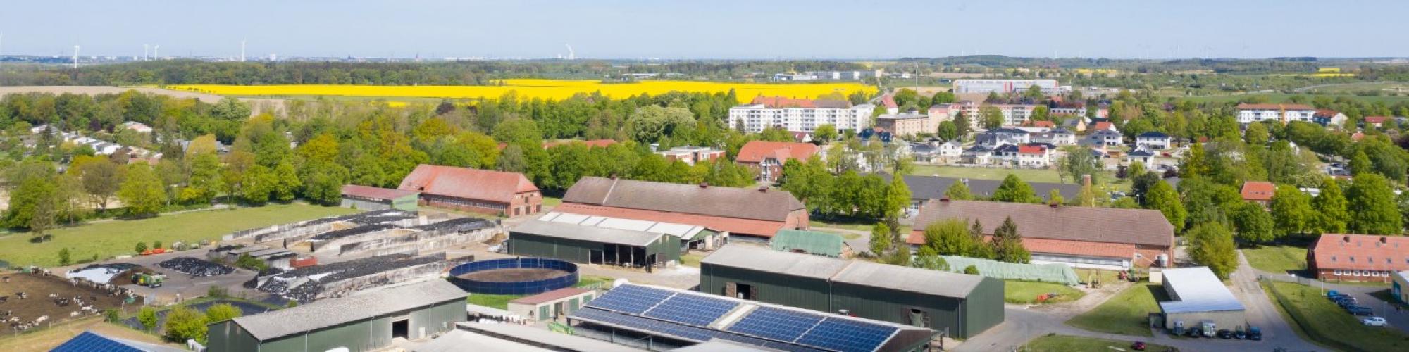 GUT DUMMERSTORF GmbH
