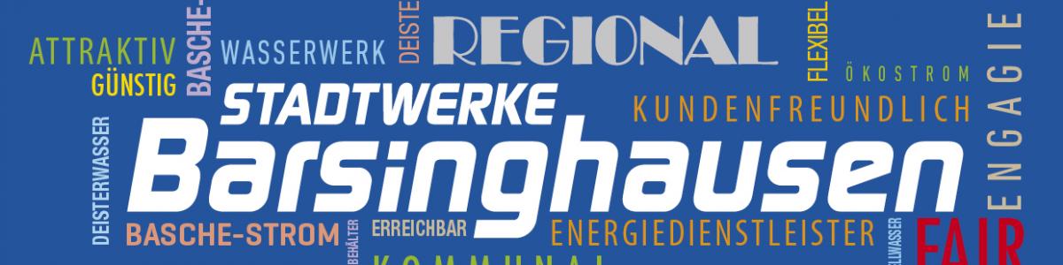 Stadtwerke Barsinghausen GmbH Stadtwerke Barsinghausen GmbH cover